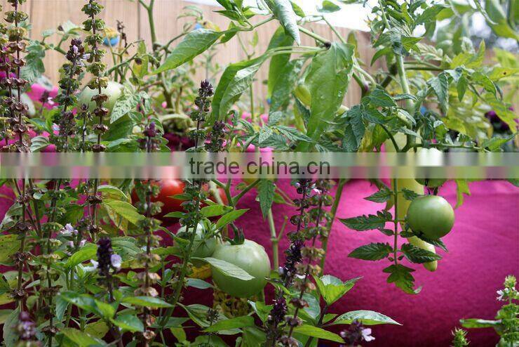 Felt Fabric Living Wall Planter Vertical Garden,Woolly Pocket Planter Bag