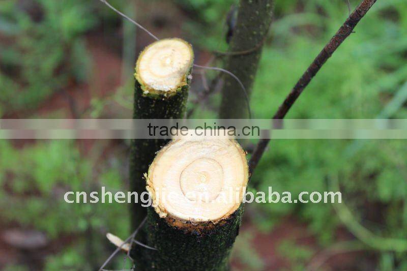 telescopic anvil lopper (GS certified)