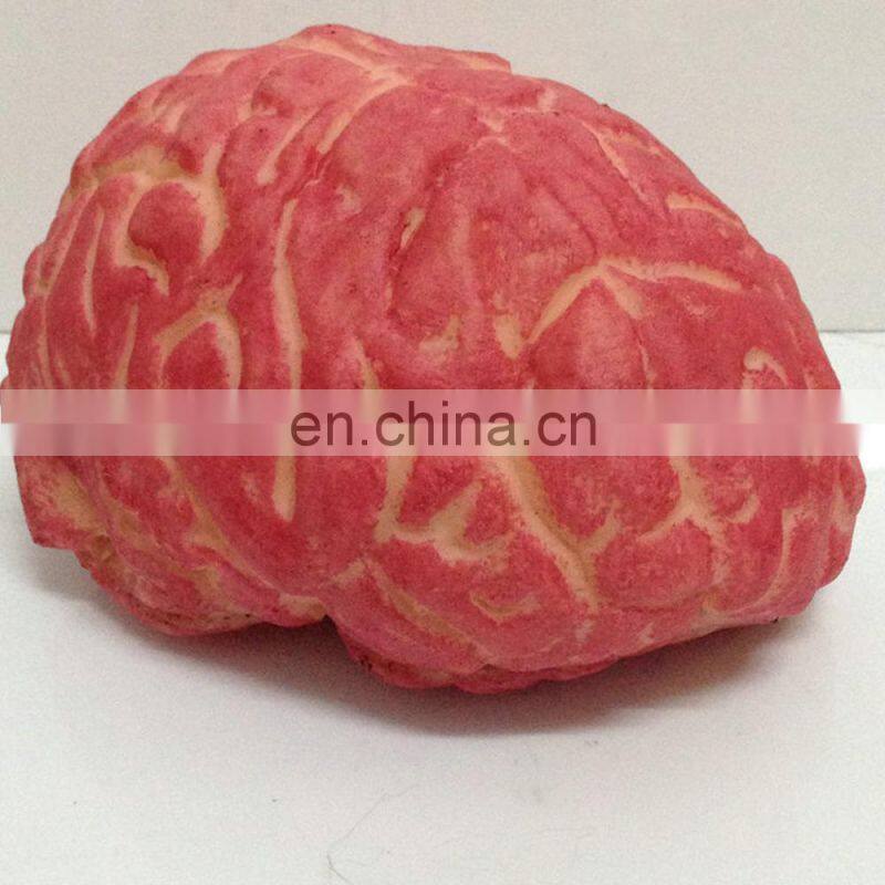 2015 Simulation of the cerebrum prop for halloween