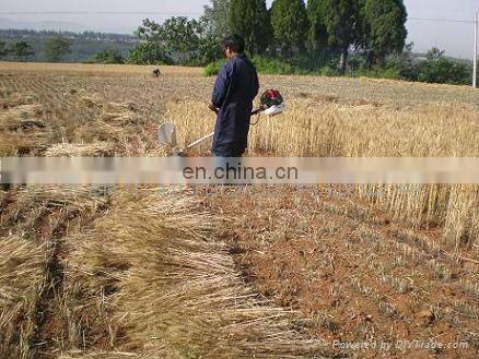 Professional factory supply safety and easy operation gas powered hand push rice cutter