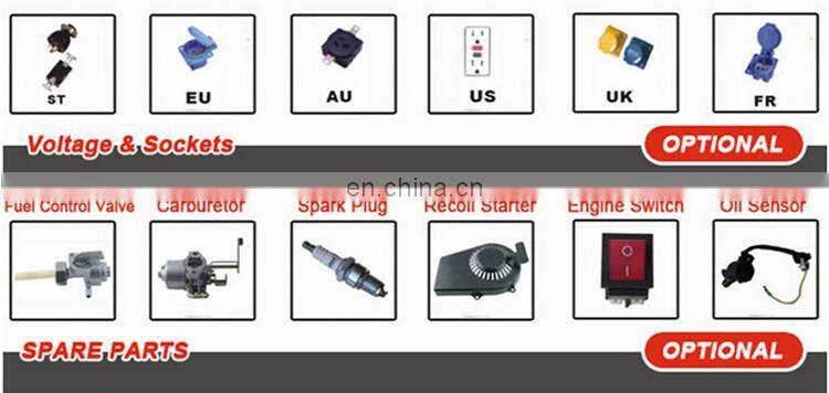 BISON China Taizhou BS3000E 60hz Frequency Chinese Portable Generators Left Crank Case 2.5kw 220v Gasoline Generator