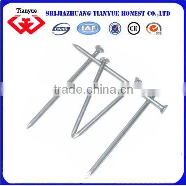 Construction Common Nials with low price