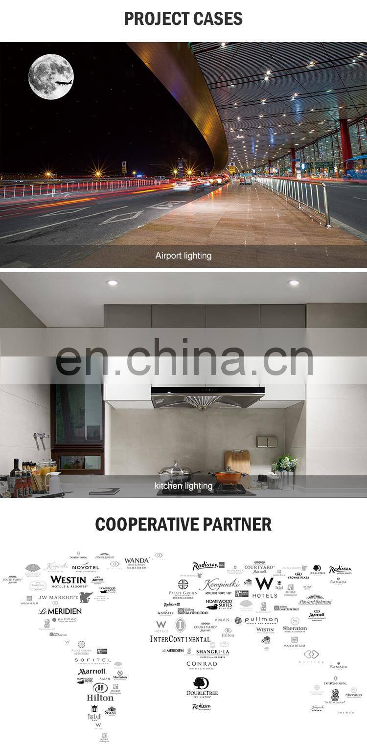 Professional Manufacturer Round Shape Ceiling Recessed 10CM Cut-out COB 16W 20W Led Downlight