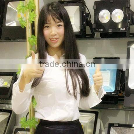 solar grid tie micro inverter pole 30w solar street light