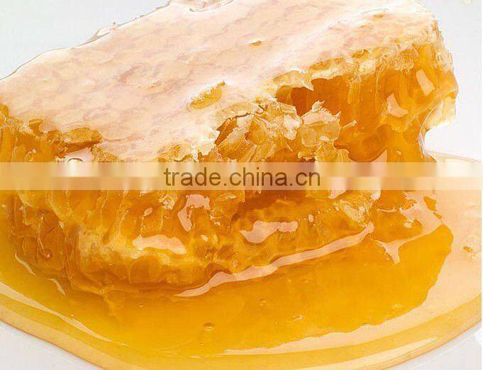 500g/360ml plastic storage bottles,squeeze pet bottle A25