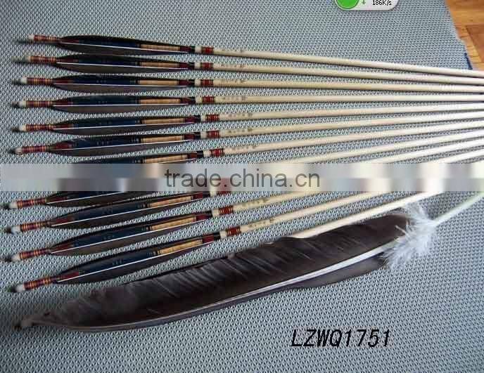 Feather Arrows LZWQ1764