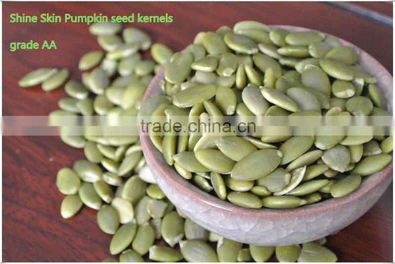 Export Green Pumpkin Seeds Grown without Shell GWS Supplier