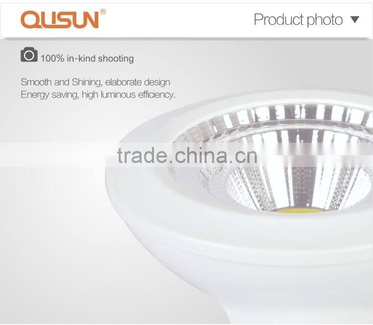 CE ROHS COB par30 LED Par Light spot lights led