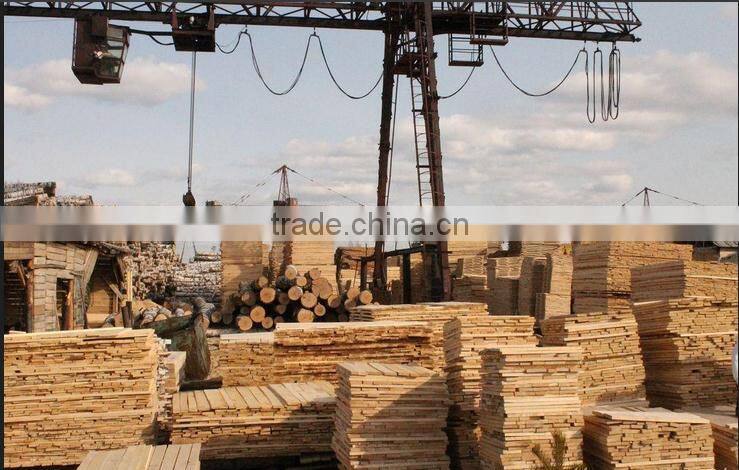 Pine birch logs FSC WOOD