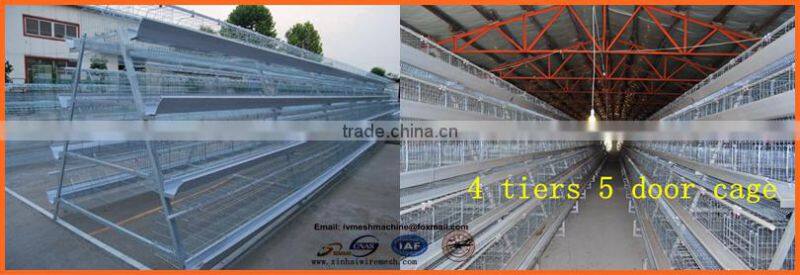 A type 160 layer chicken cage with 4 tiers and 8 cages Chicken cage
