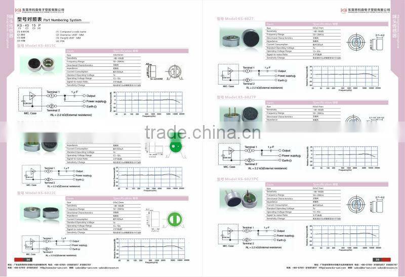 noise cancelling microphone