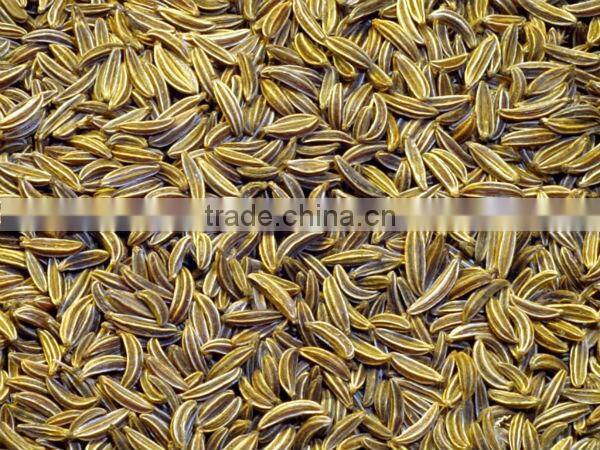 Cumin