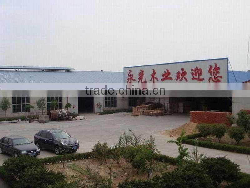 HOT! cheap plywood for sale in linyi