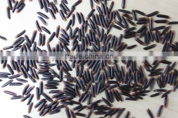 100% CLEAN VIETNAM HIGH-QUALITY ORGANIC BLACK RICE PREMIUM GRADE