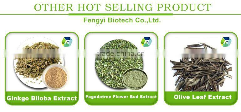 pharmaceutical grade cranberry extract powder