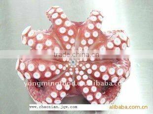 Frozen octopus IQF vulgaris
