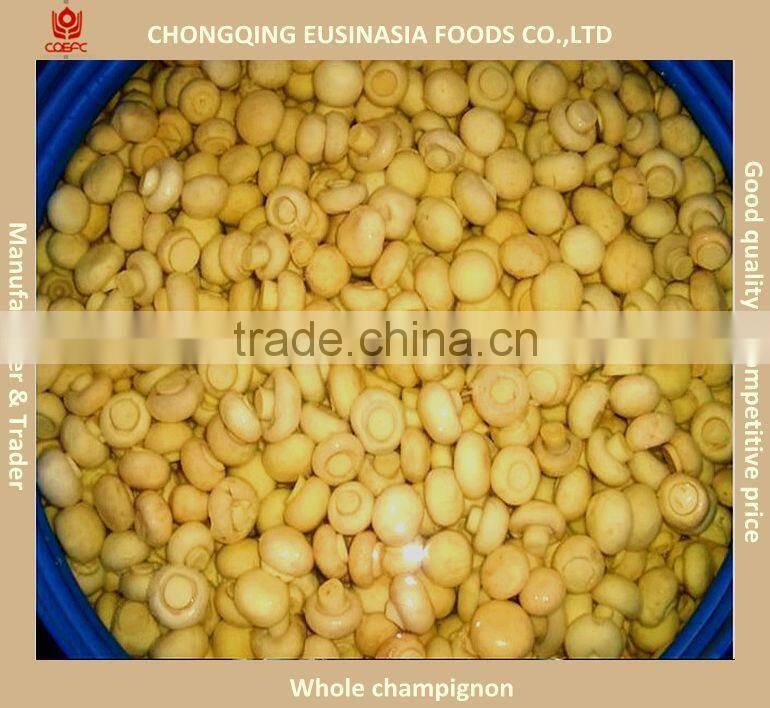 Canned whole button mushroom, mushroom champignon