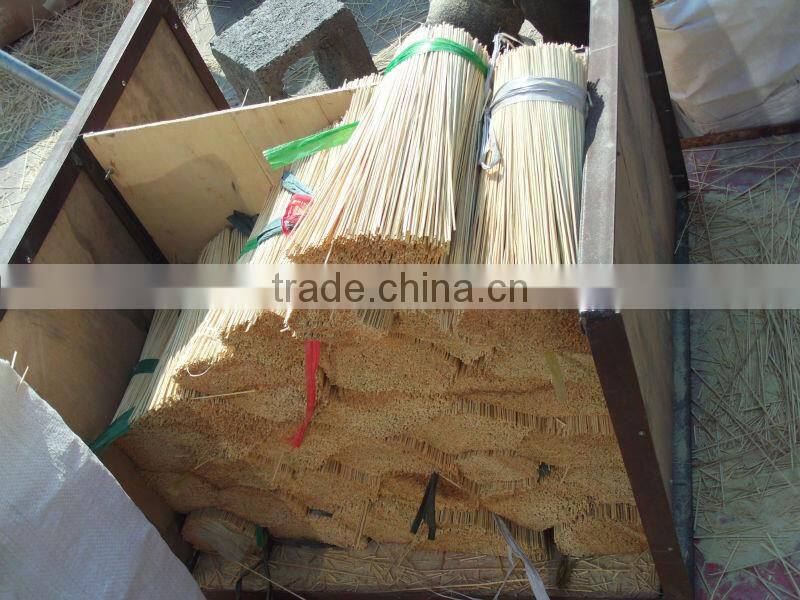 Raw Bamboo Cane Export