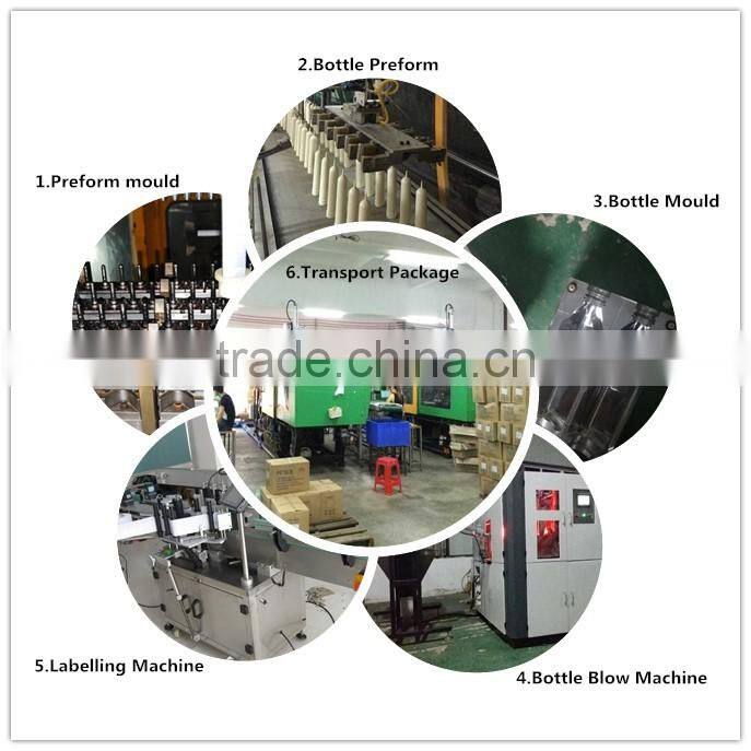 PC decorative bpa free plastic lemon juice cup with bags