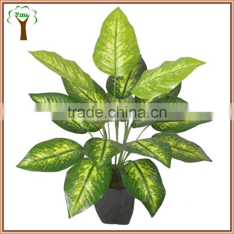 potted artificial everygreen ivy plant bonsai