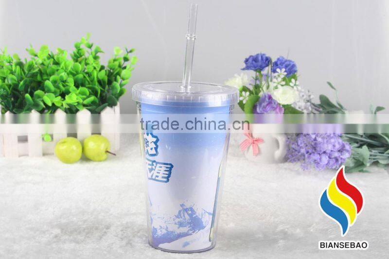 Double Wall Plastic Acrylic Paper Insert Tumbler With Straw