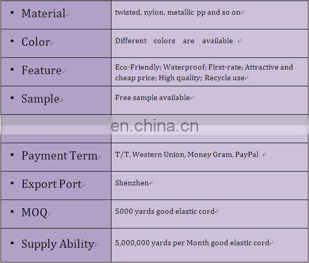 Made in China new product flat bungee cord