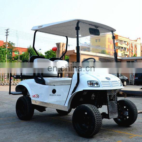 Go green power motor golf car with 3kw 48volt motor