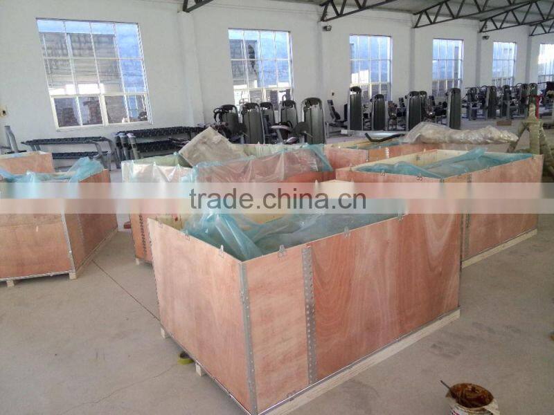 Hot Sale bench with muscle exercise /Ftiness Equipment /Utility Bench/TZ-6052