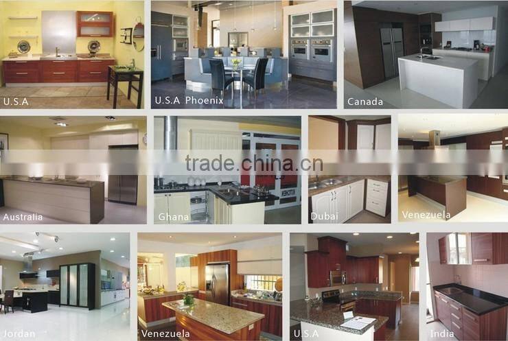 Foshan factory export to Australia,Canada kitchen cabinet,kitchen ceiling led light
