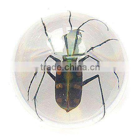6.0 cm real resin acrylic marble ball with bugs