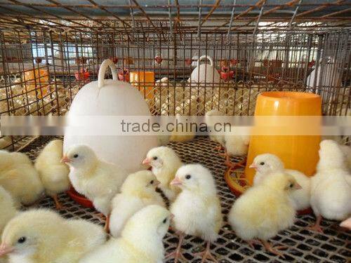 Wholesale hot sale chicken feeder 8kg,10kg,big chicken feeder