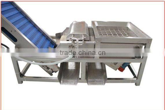 New type comprehensive washing machine for dates/date washing machine/date processing machine