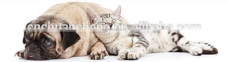 plastic pet training toilet For Dog Cat,pet cleaning and grooming products pet scissors