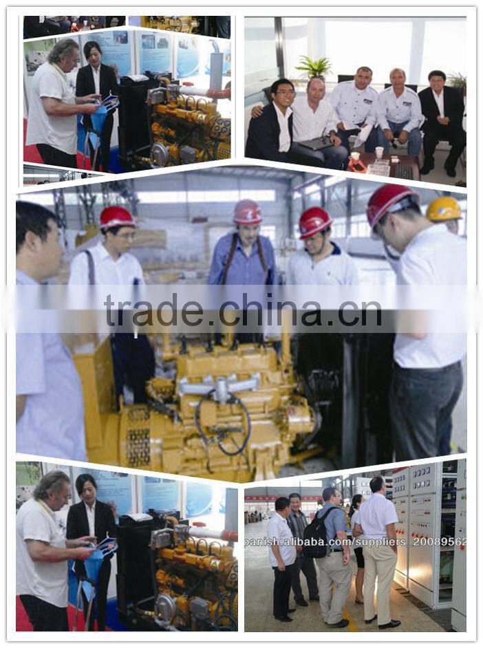 High Efficiently Widly Used thermoelectric generator for biomass stove