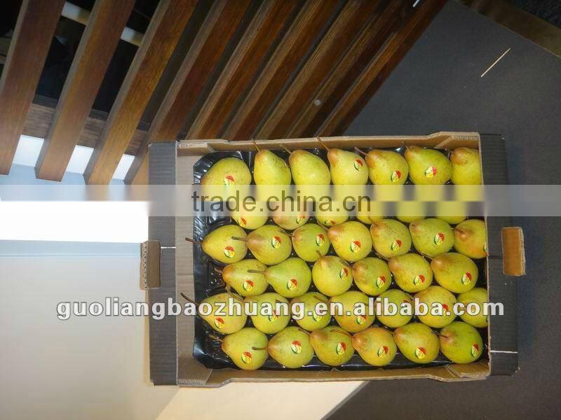 Disposable Protection PP Fruit Tray