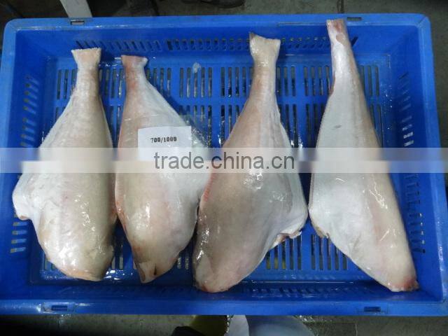 FROZEN LEATHER JACKET HGT