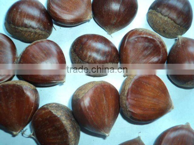 Chinese Fresh Chestnut Honey