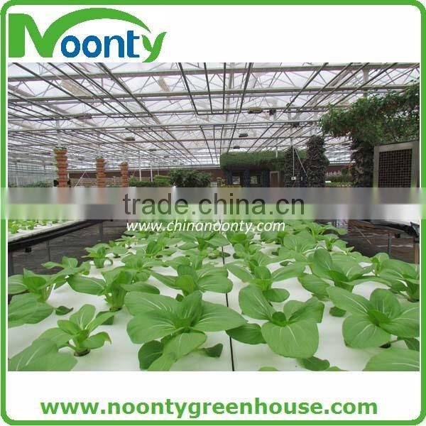 Hydroponics Greenhouse