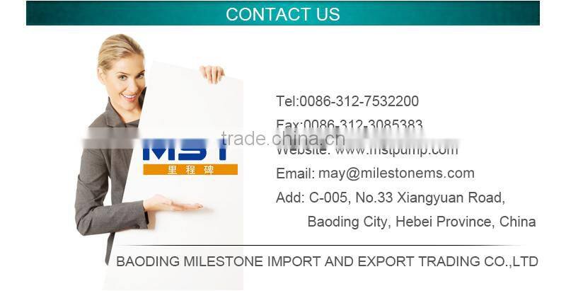 Large electric submersible hydral pump