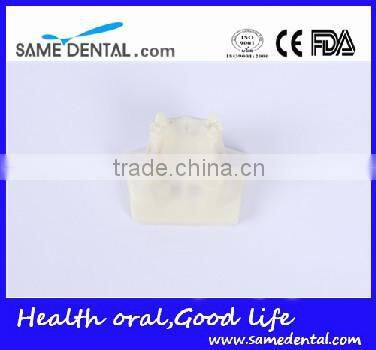 Sinus lift practice model Dental Eduction Assitant No. DEA-23