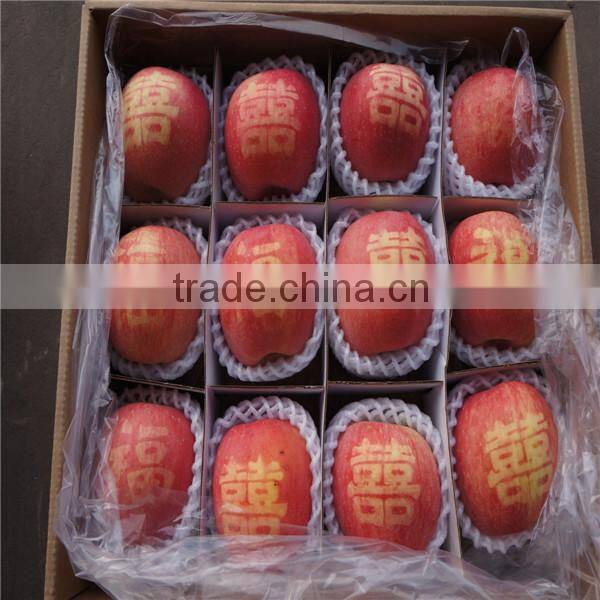 china fresh fuji apples