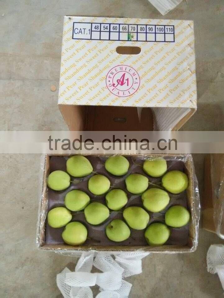 Shandong Pear