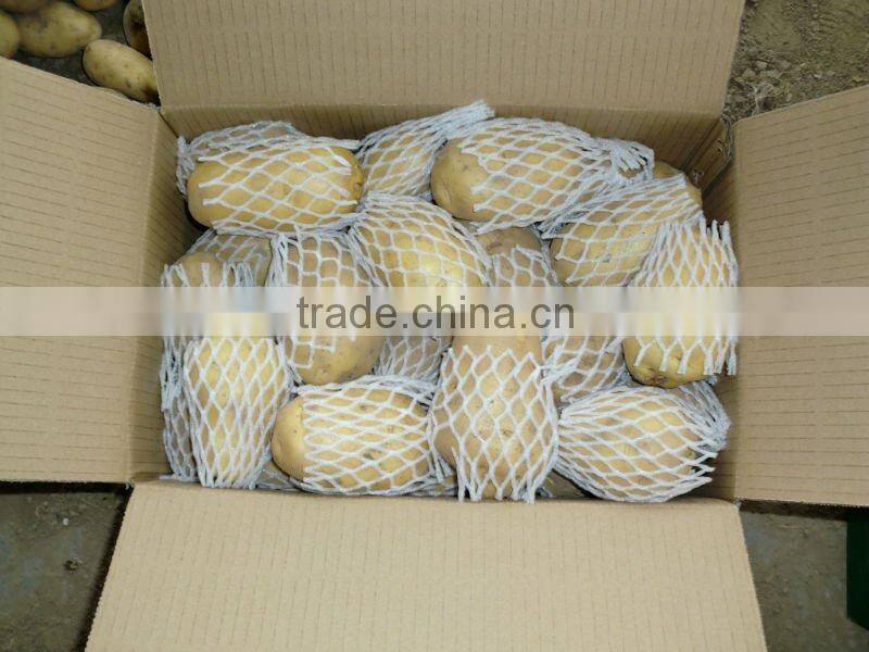 Sell 2013 Fresh Potatoes