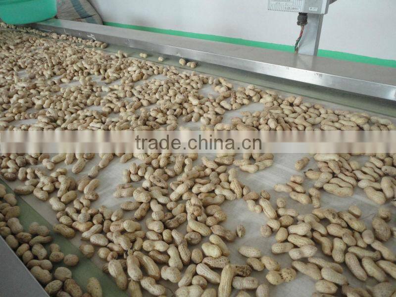 Chinese Roasted Peanut in Shell