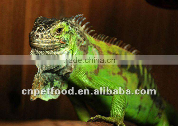 Microwaved Dried Shrimps Reptile Feed