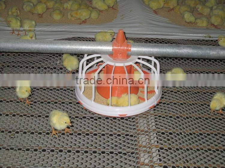 Chiken feeding system poultry farm production