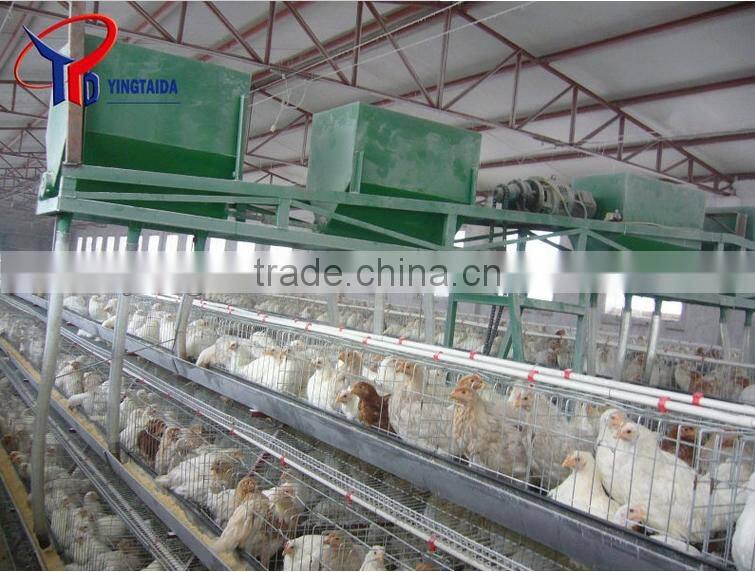 galvanized wire mesh antique hanging bird cages (ISO9001 factory)
