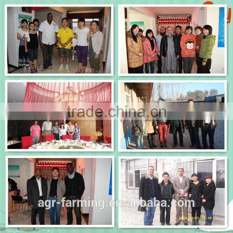 hot selling animal husbandry machine automatic solar eggs incubator
