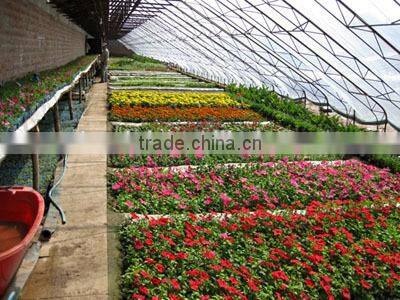 Manufacture greenhouse plastic film for fruits vegetables flowers