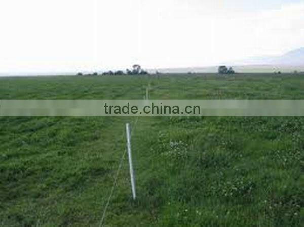 Fiberglass Electric Fence Post